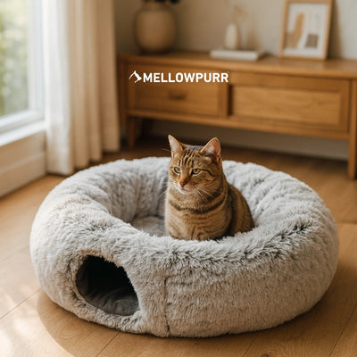 Cama Túnel MellowPurr 2 en 1 | Juego y Descanso Infinito
