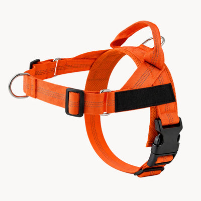 Mellowpurr Arnés Antitirones con Control Frontal