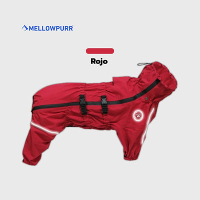 Chubasquero MellowPurr | Protección Total de 4 Patas