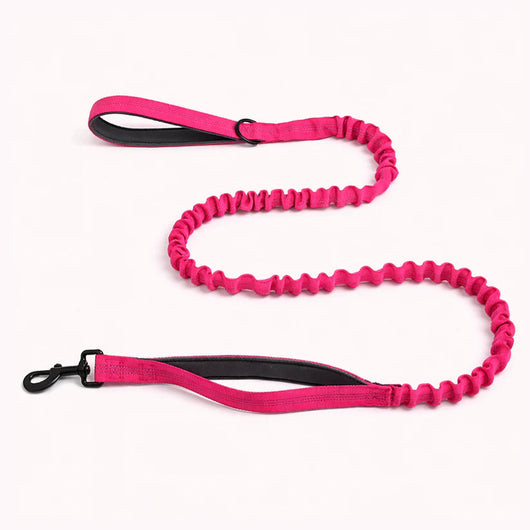 Mellowpurr Correa Elástica Amortiguadora para Perros | Sistema de Doble Control