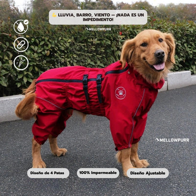Chubasquero MellowPurr | Protección Total de 4 Patas