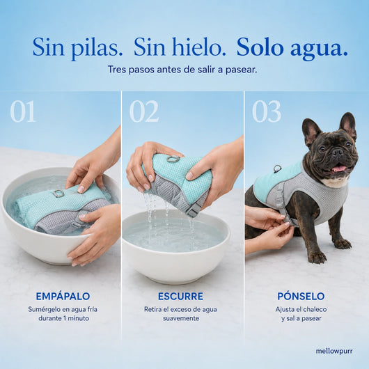 Chaleco Refrescante para Perros Ligero y Ajustable | Mellowpurr