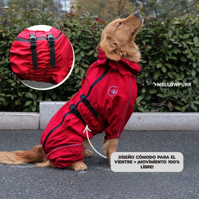 Chubasquero MellowPurr | Protección Total de 4 Patas