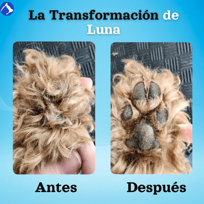 Mellowpurr Dispositivo de Cuidado de Pelo