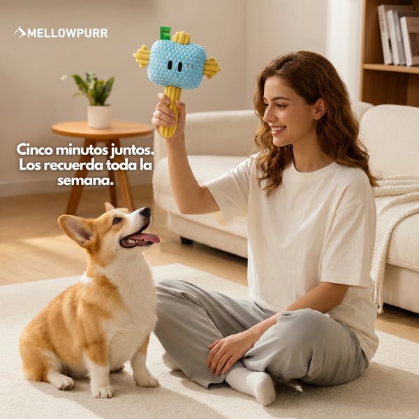Mellowpurr MordiBip | Diversión a mordiscos