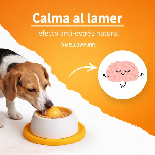 Mellowpurr LamíCalma - Tapete de Alimentación Lenta