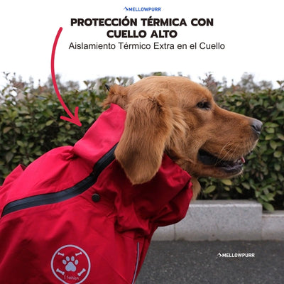 Chubasquero MellowPurr | Protección Total de 4 Patas