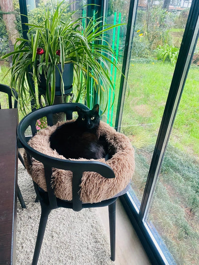 Historia de un Cliente Feliz