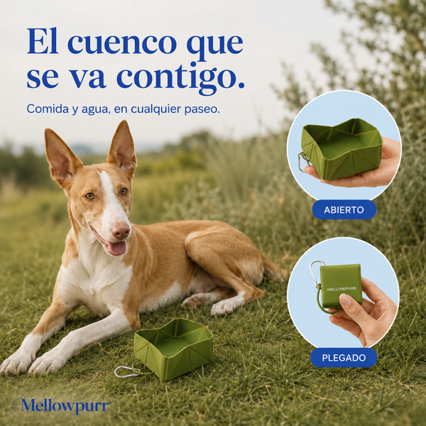 Cuenco Plegable para Perros – Comida y Agua | Mellowpurr
