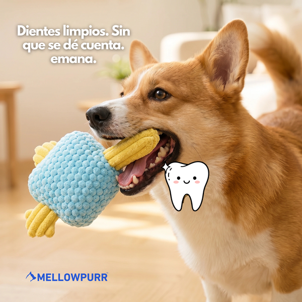 Mellowpurr MordiBip | Diversión a mordiscos