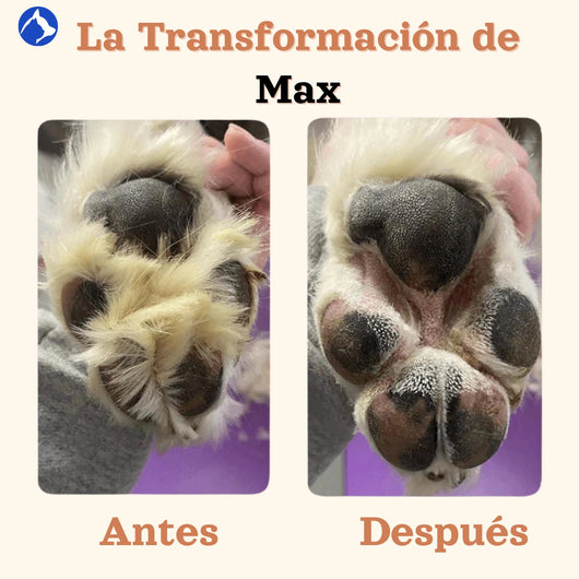 Mellowpurr Dispositivo de Cuidado de Pelo