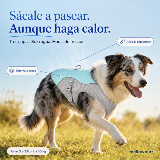 Chaleco Refrescante para Perros Ligero y Ajustable | Mellowpurr