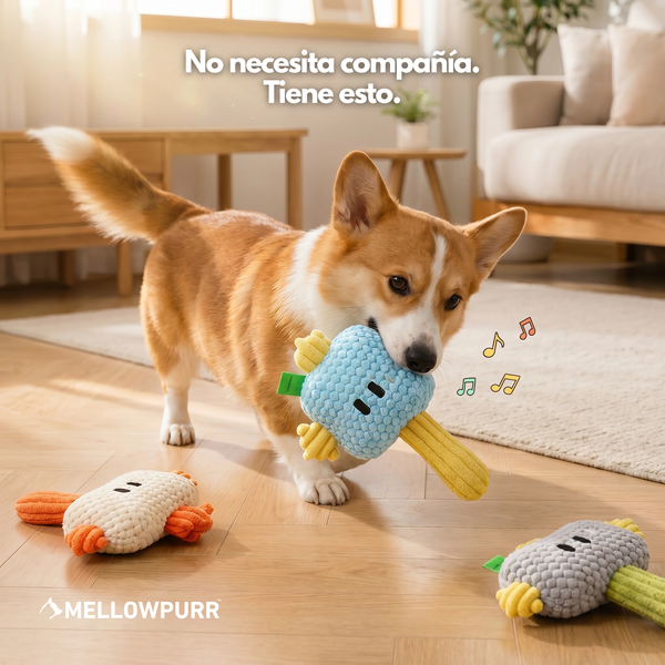 Mellowpurr MordiBip | Diversión a mordiscos