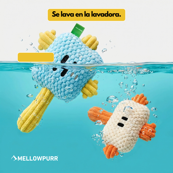 Mellowpurr MordiBip | Diversión a mordiscos