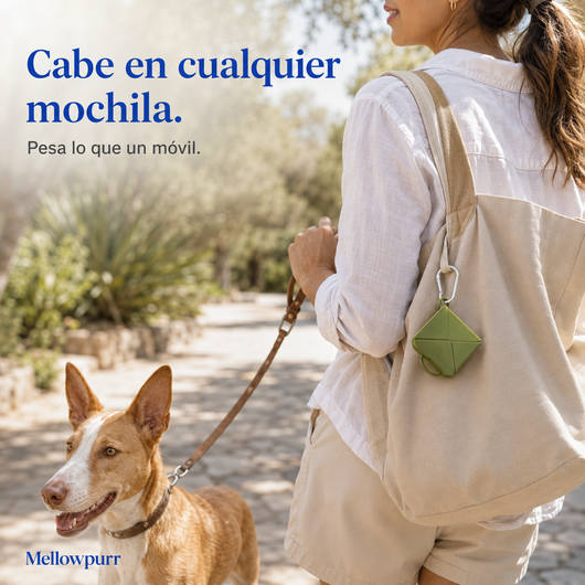 Cuenco Plegable para Perros – Comida y Agua | Mellowpurr