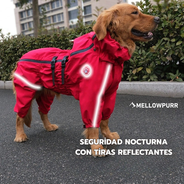 Chubasquero MellowPurr | Protección Total de 4 Patas