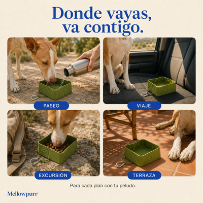 Cuenco Plegable para Perros – Comida y Agua | Mellowpurr