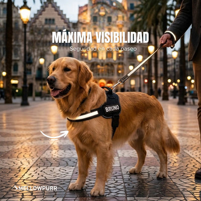 Arnés Antitirones Personalizado Mellowpurr para Perros