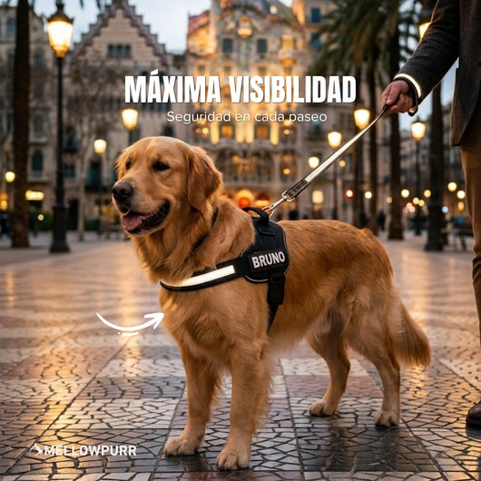 Arnés Antitirones Personalizado Mellowpurr para Perros