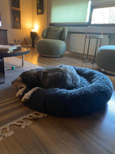 Historia de un Cliente Feliz