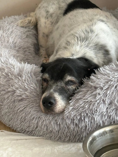 Historia de un Cliente Feliz