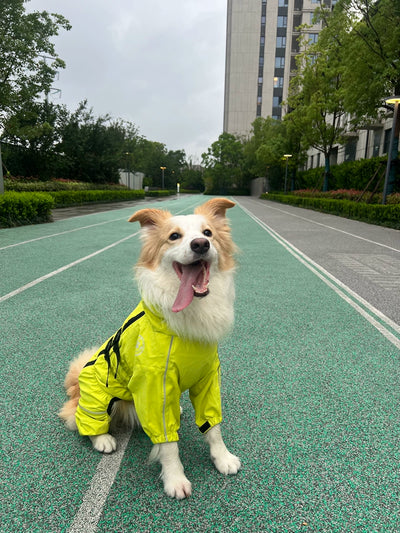 Historia de un Cliente Feliz
