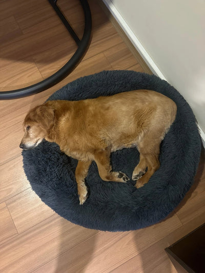 Historia de un Cliente Feliz