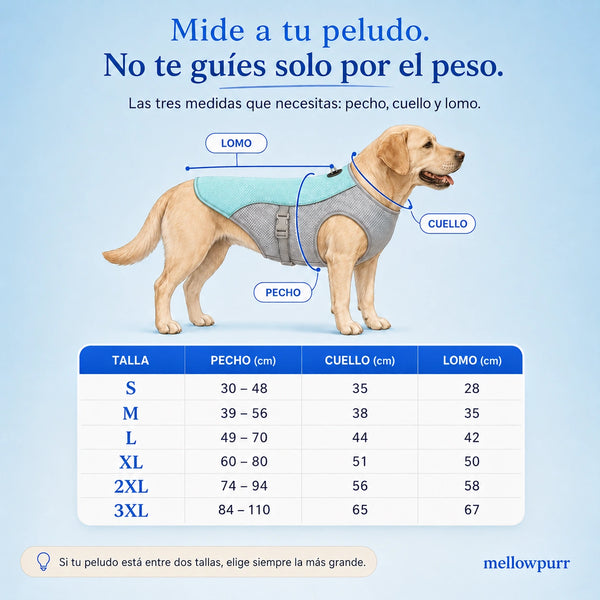Chaleco Refrescante para Perros Ligero y Ajustable | Mellowpurr