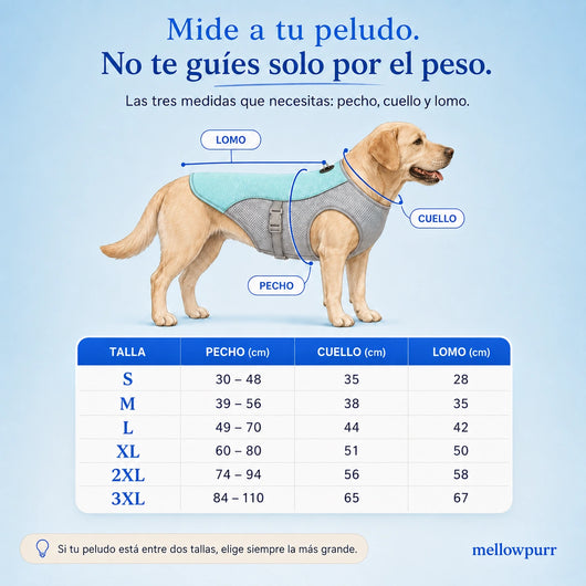 Chaleco Refrescante para Perros Ligero y Ajustable | Mellowpurr