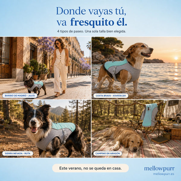 Chaleco Refrescante para Perros Ligero y Ajustable | Mellowpurr