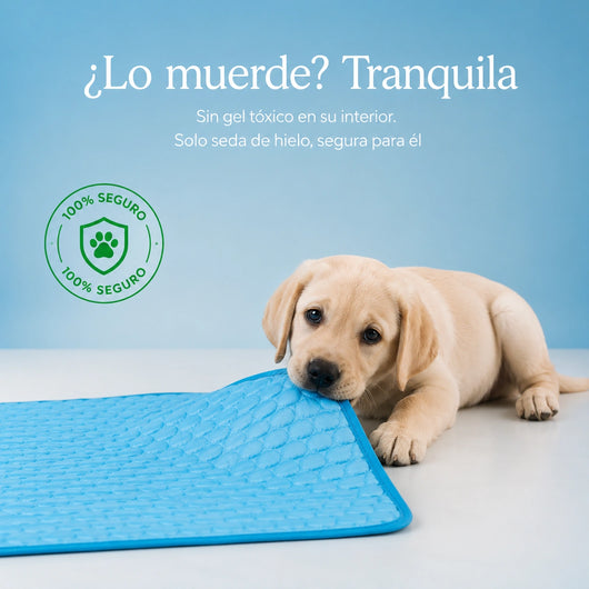 Alfombrilla Refrescante de Seda de Hielo | Mellowpurr