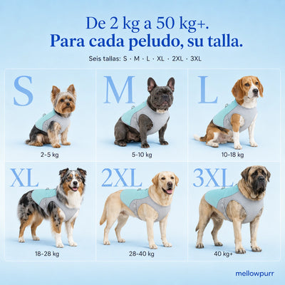 Chaleco Refrescante para Perros Ligero y Ajustable | Mellowpurr