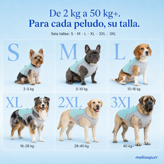 Chaleco Refrescante para Perros Ligero y Ajustable | Mellowpurr
