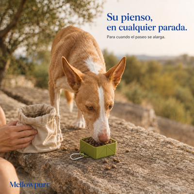 Cuenco Plegable para Perros – Comida y Agua | Mellowpurr