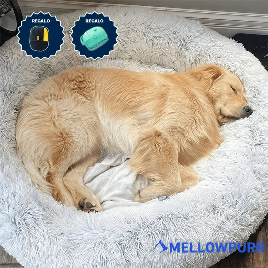 Cama Relajante MellowPurr | Súper Suave & Anti-Ansiedad