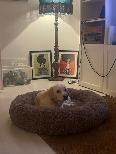 Historia de un Cliente Feliz