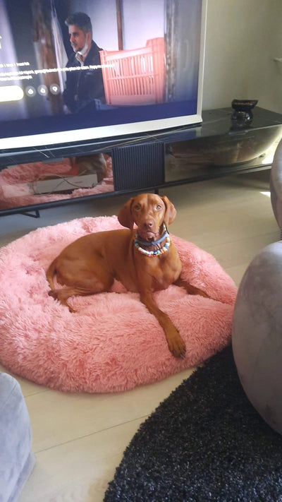 Historia de un Cliente Feliz