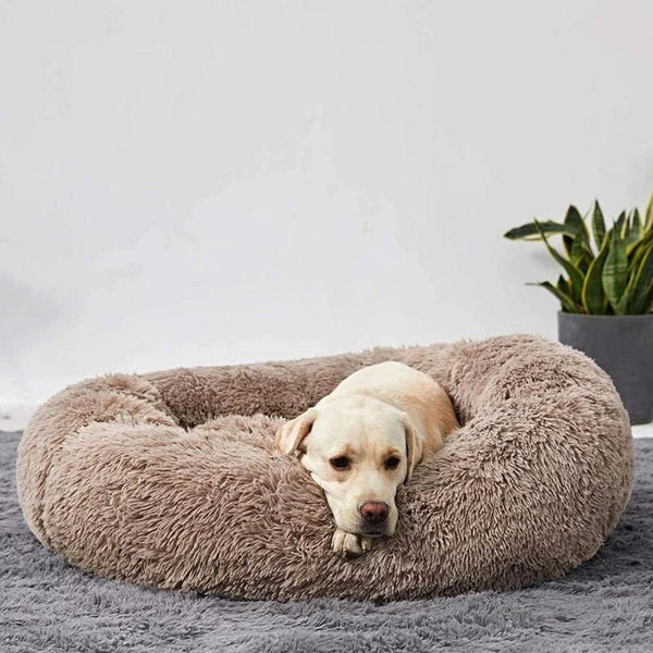 Cama Relajante MellowPurr | Súper Suave & Anti-Ansiedad