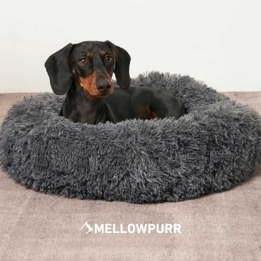 Cama Relajante MellowPurr | Súper Suave & Anti-Ansiedad