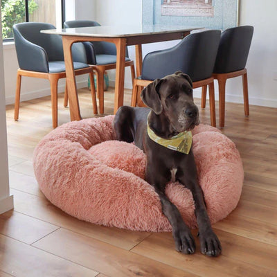Cama Relajante MellowPurr | Súper Suave & Anti-Ansiedad