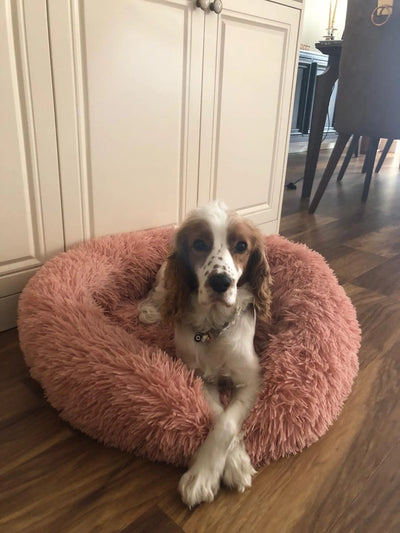 Historia de un Cliente Feliz