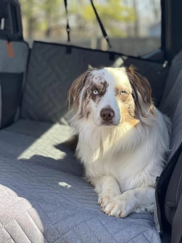 Historia de un Cliente Feliz