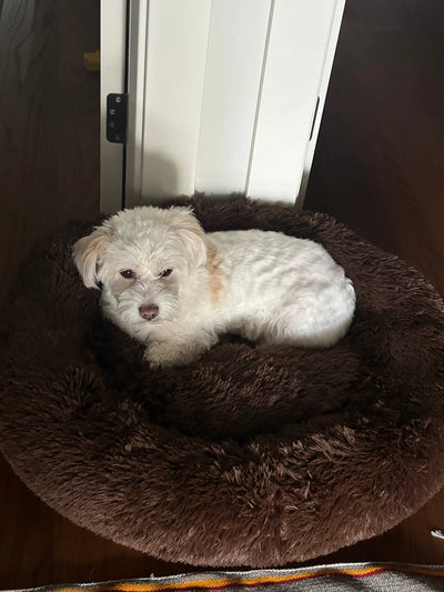 Historia de un Cliente Feliz