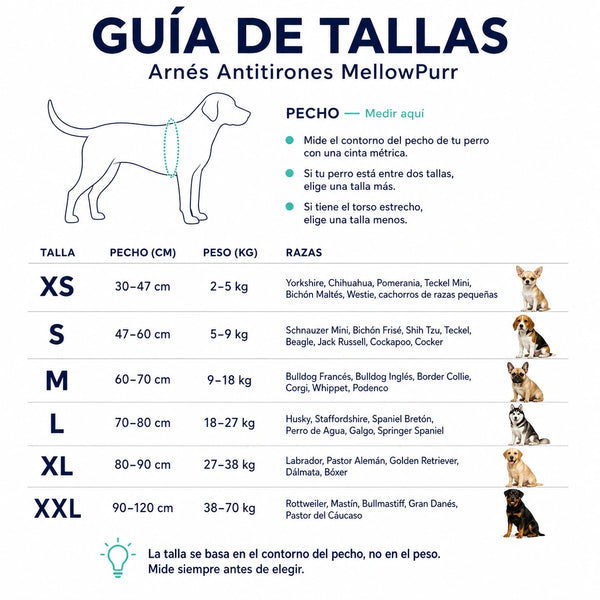 Arnés Antitirones Personalizado Mellowpurr para Perros